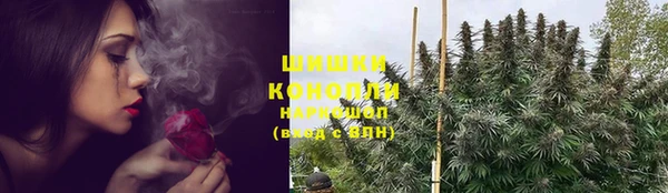 дживик Надым