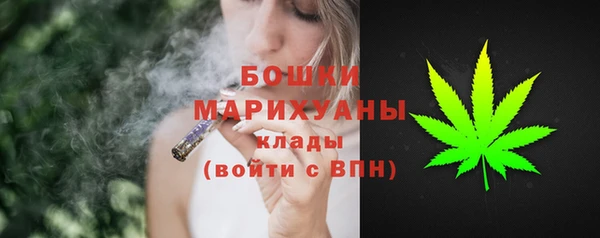 дживик Надым