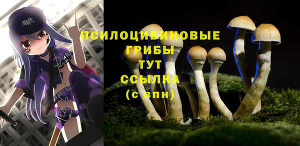 дживик Надым