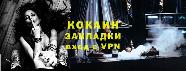 дживик Надым