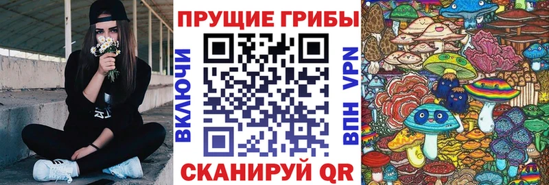 где продают Краснотурьинск Галлюциногенные грибы мухоморы