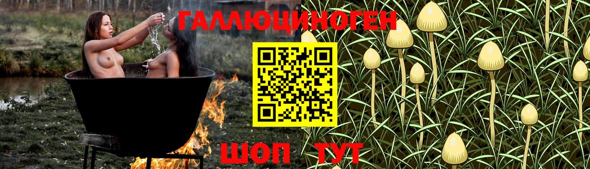 наркотики  Галлюциногенные грибы мухоморы  Вход с VPN  Краснотурьинск  Галлюциногенные грибы Magic Shrooms 