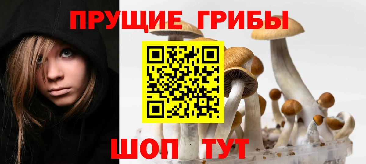 Псилоцибиновые грибы прущие грибы Краснотурьинск